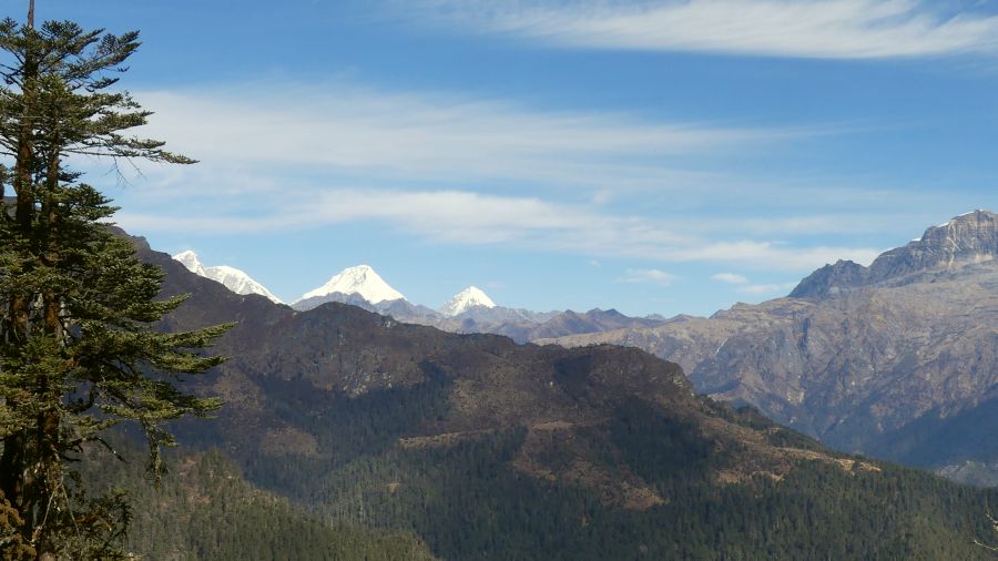 Bhutan Trekking einfach Sage La Trek P1000729