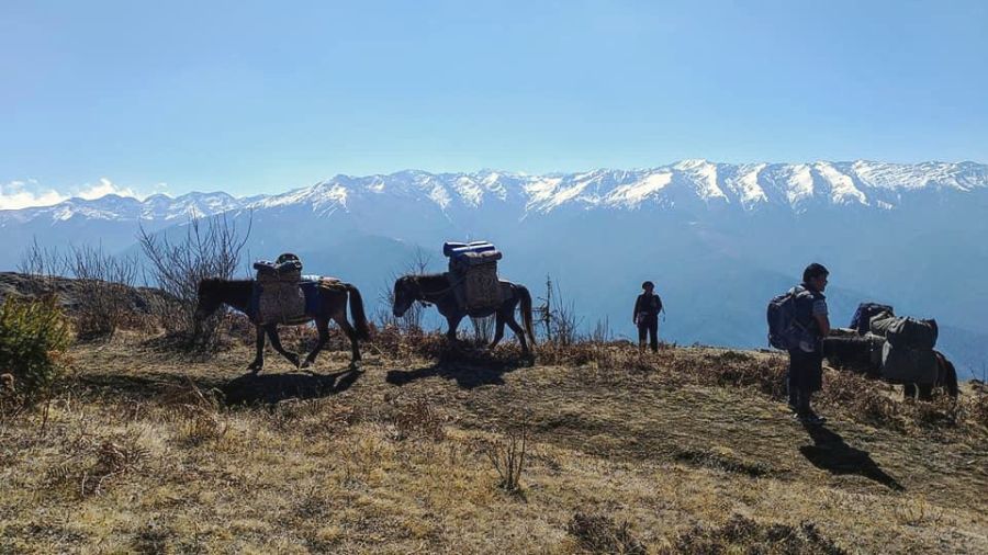 Bhutan Trekking mittel Sakteng Trek IMGWA0005