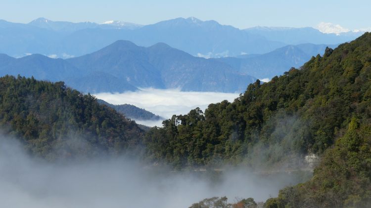 Bhutan Wald und Berge P1040411 750x421
